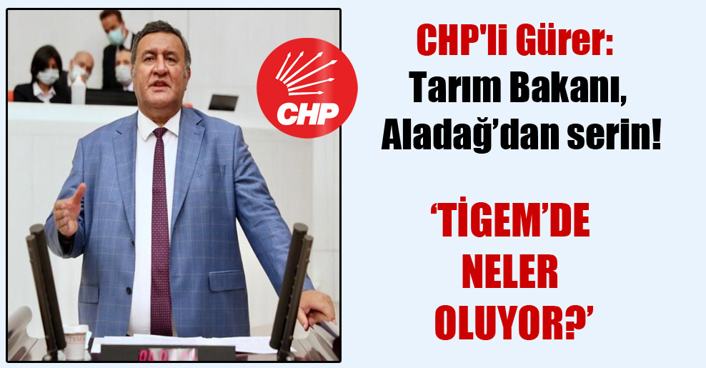 CHP’li Gürer: Tarım Bakanı, Aladağ’dan serin!