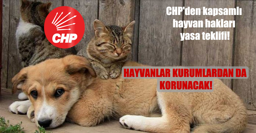 CHP’den kapsamlı hayvan hakları yasa teklifi!