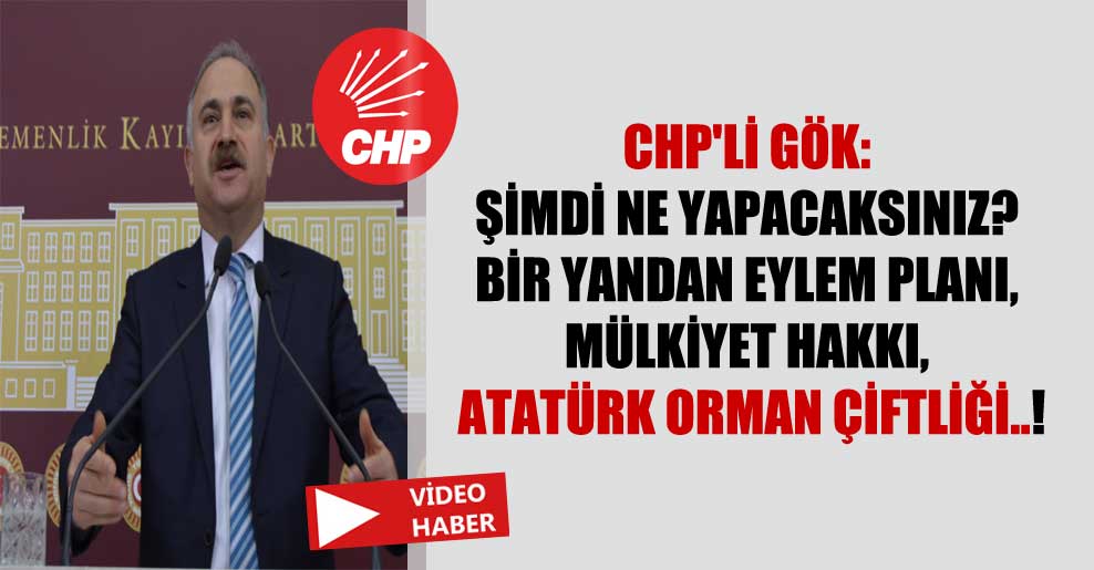 CHP’li Gök: Şimdi ne yapacaksınız? Bir yandan eylem planı, mülkiyet hakkı, Atatürk Orman Çiftliği..!
