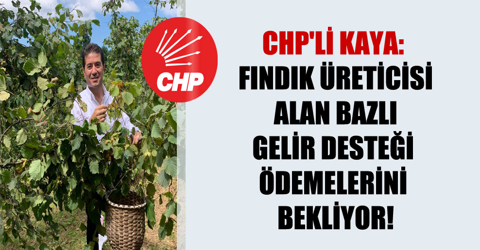 CHP’li Kaya: Fındık üreticisi alan bazlı gelir desteği ödemelerini bekliyor!