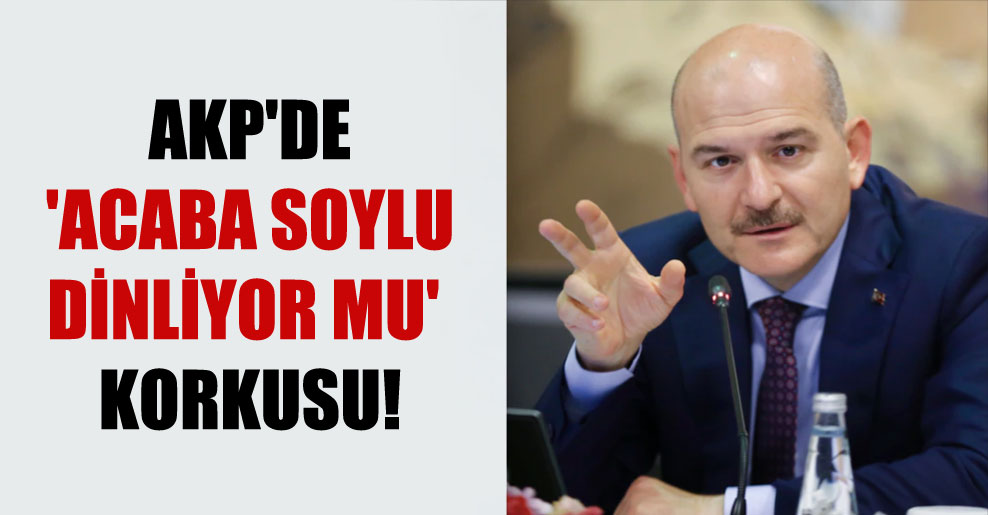 AKP’de ‘Acaba Soylu dinliyor mu’ korkusu!