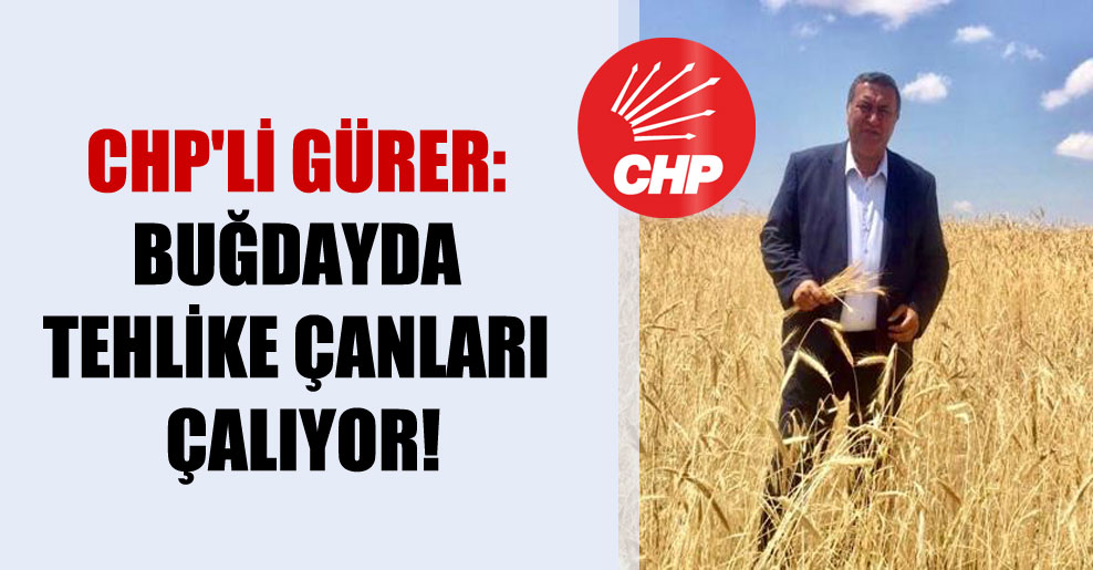 CHP’li Gürer: Buğdayda tehlike çanları çalıyor!