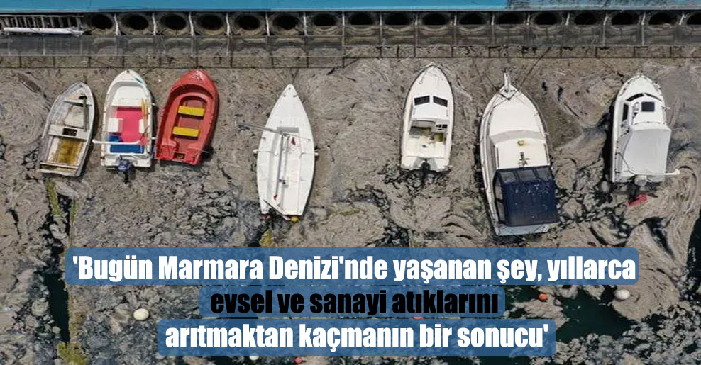 ‘Bugün Marmara Denizi’nde yaşanan şey, yıllarca evsel ve sanayi atıklarını arıtmaktan kaçmanın bir sonucu’