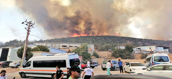 Orman yangınlarıyla mücadele devam ediyor
