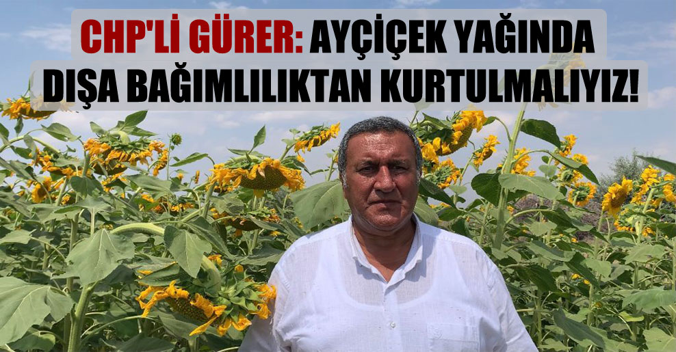 CHP’li Gürer: Ayçiçek yağında dışa bağımlılıktan kurtulmalıyız!