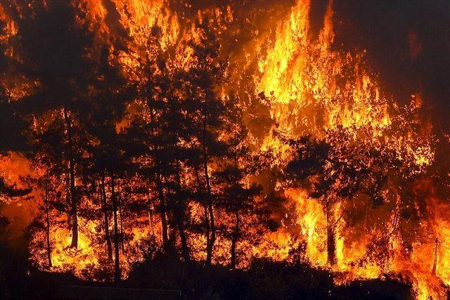 Orman yangınıyla mücadele dördüncü gününde: 88 yangın kontrol altına alındı, 10 yangın sürüyor