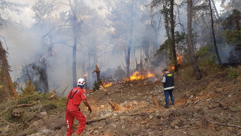 Datça’da yangın, orman yerleşim yerlerine ulaştı, havadan müdahale sürüyor