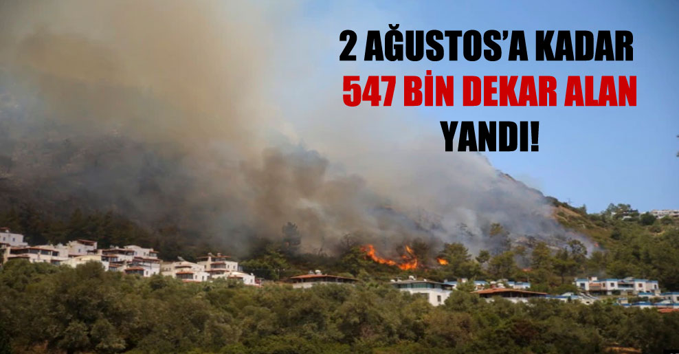 2 Ağustos’a kadar 547 bin dekar alan yandı!