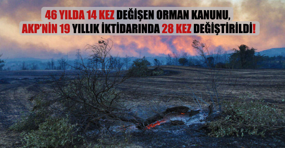 46 yılda 14 kez değişen Orman Kanunu, AKP’nin 19 yıllık iktidarında 28 kez değiştirildi!