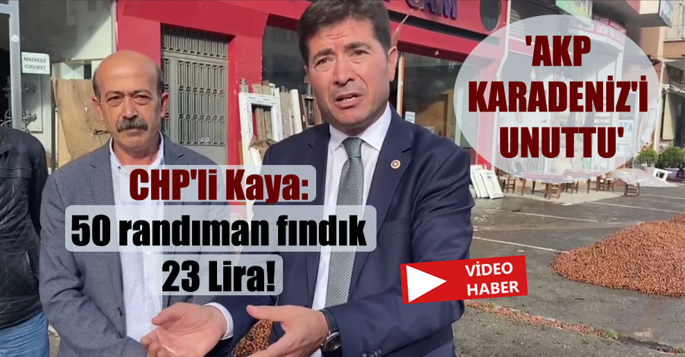 CHP’li Kaya: 50 randıman fındık 23 Lira!  ‘AKP Karadeniz’i unuttu’