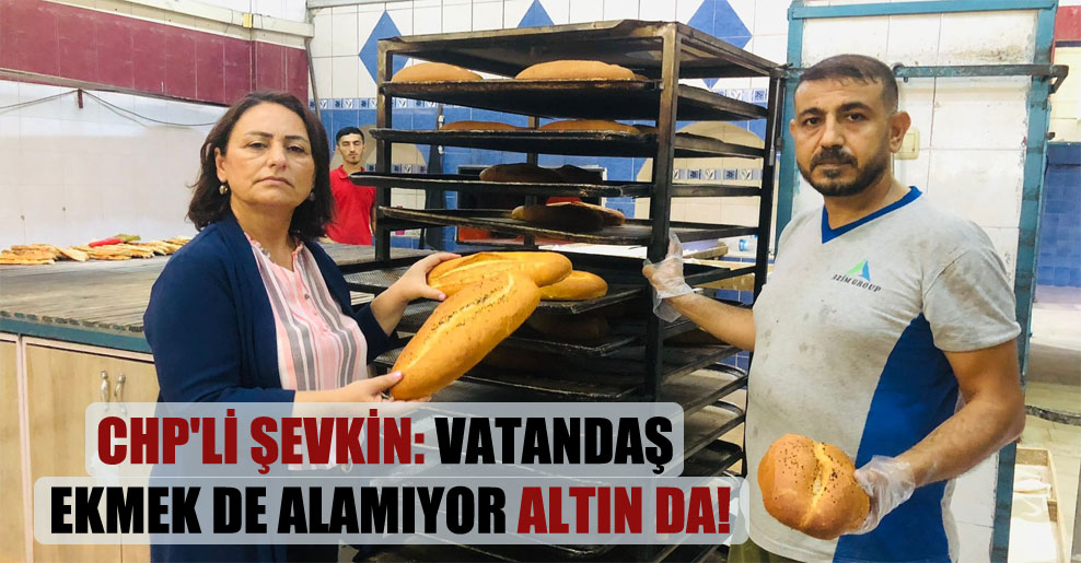 CHP’li Şevkin: Vatandaş ekmek de alamıyor altın da!