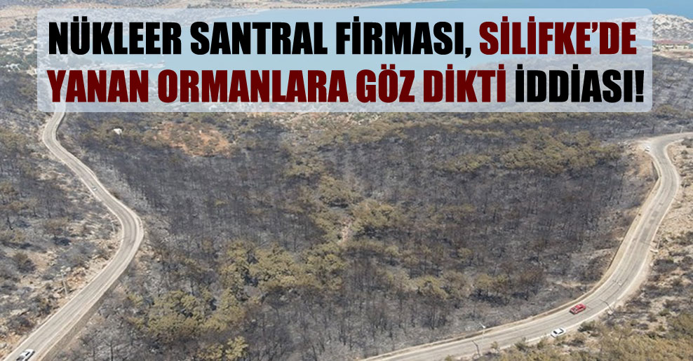 Nükleer santral firması, Silifke’de yanan ormanlara göz dikti iddiası!