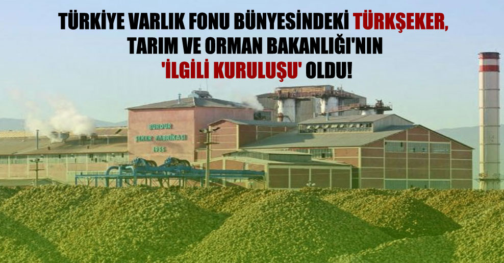 Türkiye Varlık Fonu bünyesindeki TÜRKŞEKER, Tarım ve Orman Bakanlığı’nın ‘ilgili kuruluşu’ oldu!