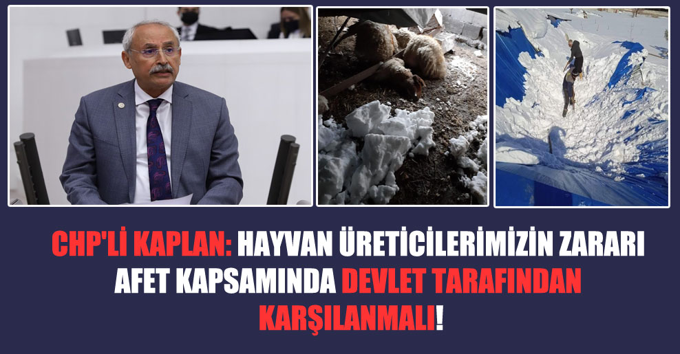 CHP’li Kaplan: Hayvan üreticilerimizin zararı afet kapsamında devlet tarafından karşılanmalı!