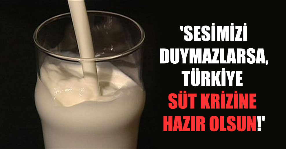 ‘Sesimizi duymazlarsa, Türkiye süt krizine hazır olsun!’