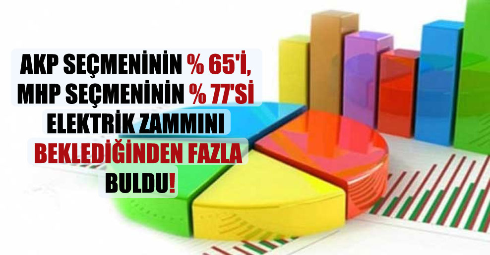 AKP seçmeninin yüzde 65’i, MHP seçmeninin yüzde 77’si elektrik zammını beklediğinden fazla buldu