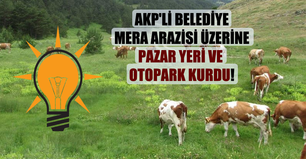 AKP’li belediye mera arazisi üzerine pazar yeri ve otopark kurdu!