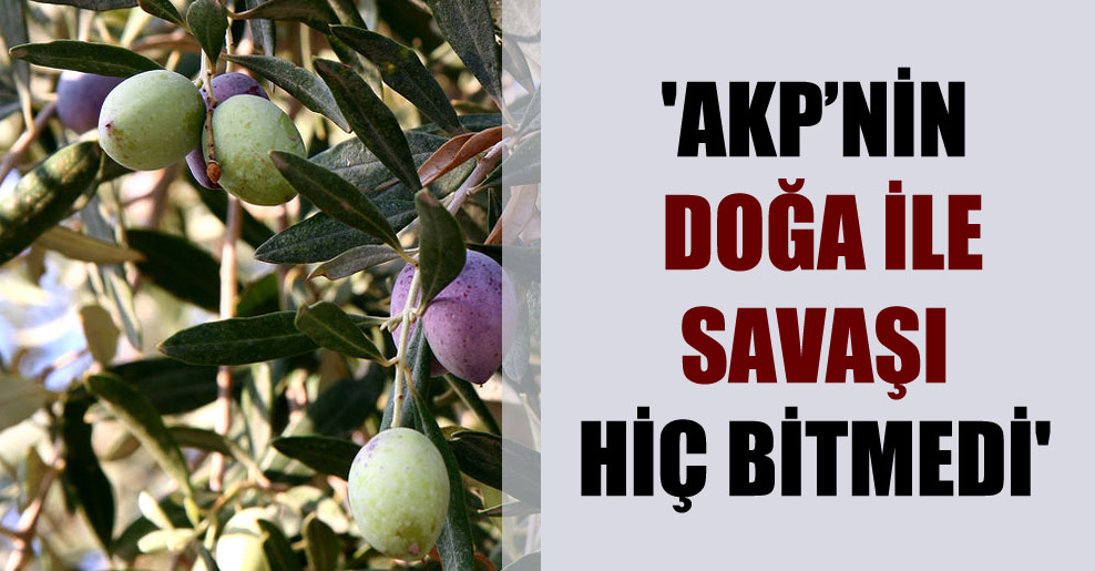 ‘AKP’nin doğa ile savaşı hiç bitmedi’