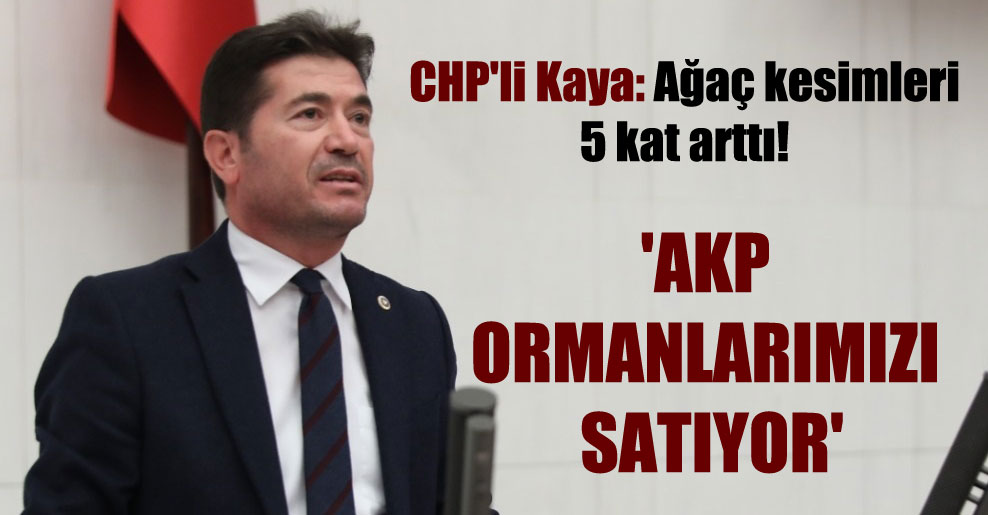 CHP’li Kaya: Ağaç kesimleri 5 kat arttı! ‘AKP ormanlarımızı satıyor’