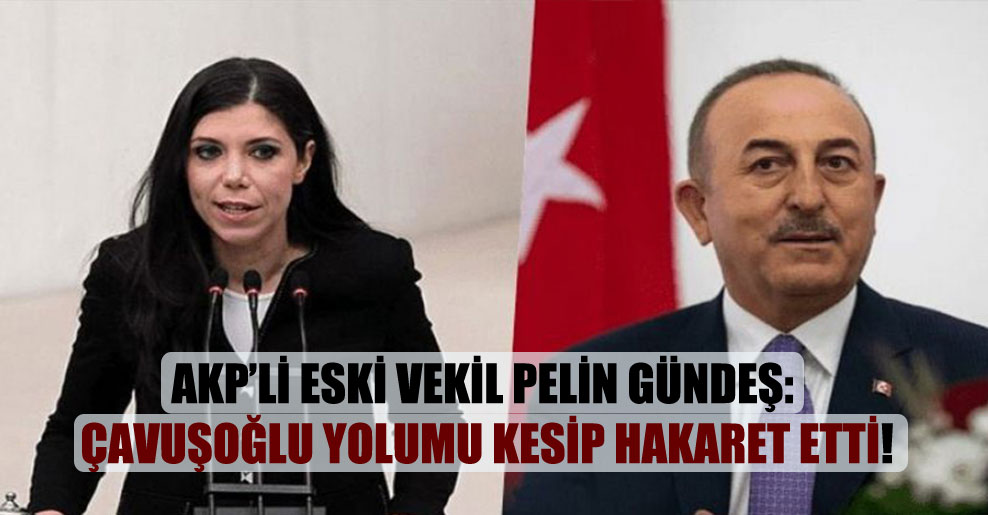 AKP’li eski vekil Pelin Gündeş: Çavuşoğlu yolumu kesip hakaret etti!