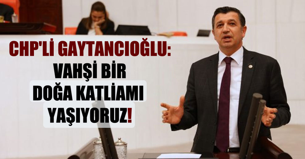CHP’li Gaytancıoğlu: Vahşi bir doğa katliamı yaşıyoruz!