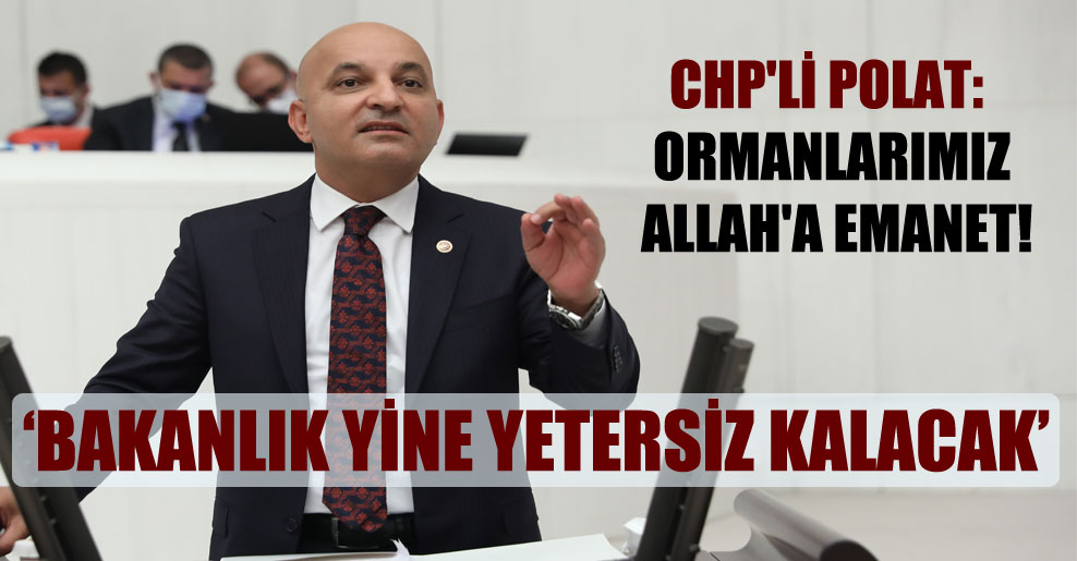 CHP’li Polat: Ormanlarımız Allah’a emanet!