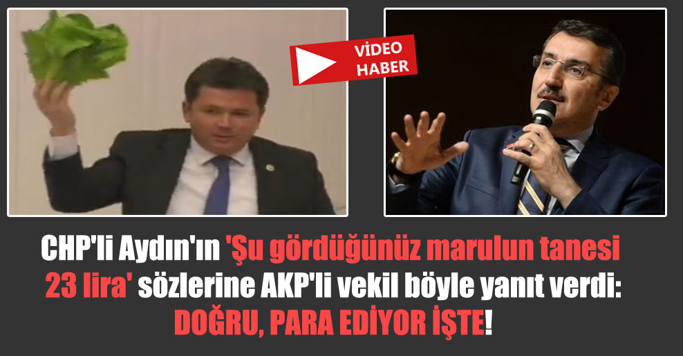 CHP’li Aydın’ın ‘Şu gördüğünüz marulun tanesi 23 lira’ sözlerine AKP’li vekil böyle yanıt verdi: Doğru, para ediyor işte!