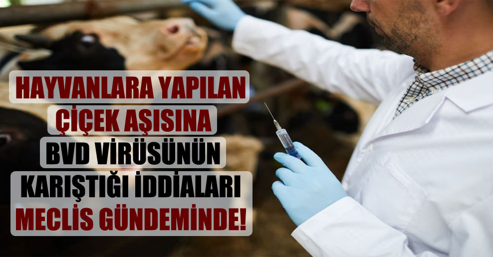 Hayvanlara yapılan çiçek aşısına BVD virüsünün karıştığı iddiaları Meclis gündeminde!