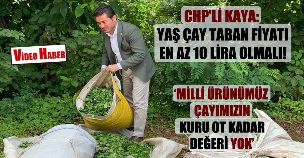 CHP’li Kaya: Yaş çay taban fiyatı en az 10 Lira olmalı!