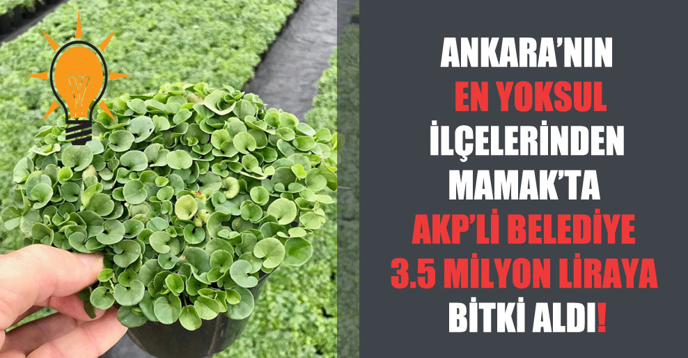 Ankara’nın en yoksul ilçelerinden Mamak’ta AKP’li belediye 3.5 milyon liraya bitki aldı!