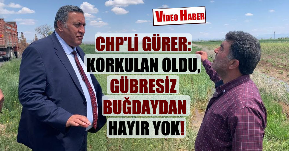 CHP’li Gürer: Korkulan oldu, gübresiz buğdaydan hayır yok!