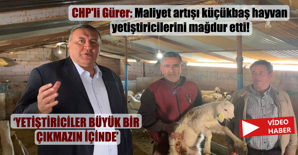 CHP’li Gürer: Maliyet artışı küçükbaş hayvan yetiştiricilerini mağdur etti!