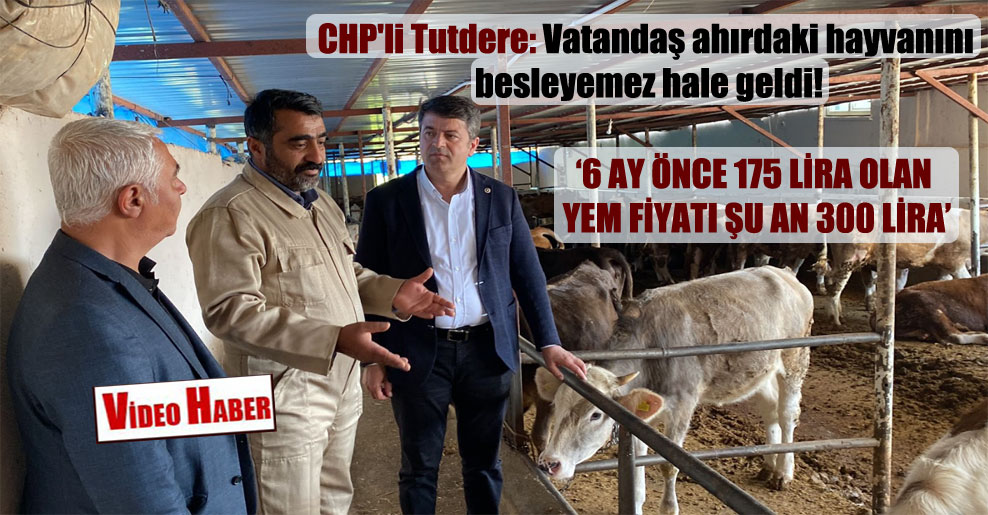 CHP’li Tutdere: Vatandaş ahırdaki hayvanını besleyemez hale geldi!