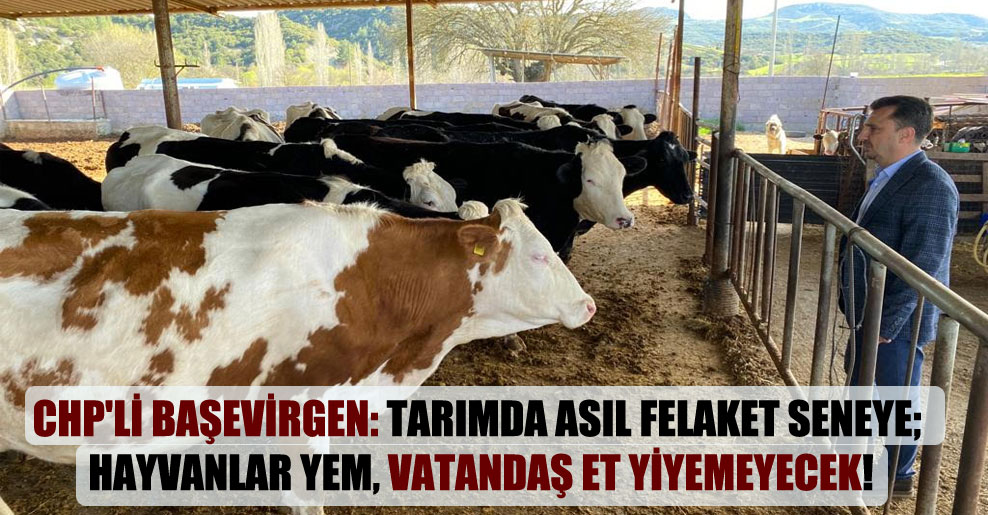 CHP’li Başevirgen: Tarımda asıl felaket seneye; hayvanlar yem, vatandaş et yiyemeyecek!