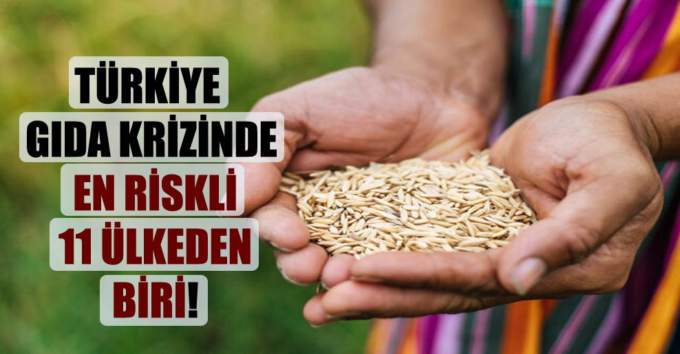 Türkiye gıda krizinde en riskli 11 ülkeden biri!
