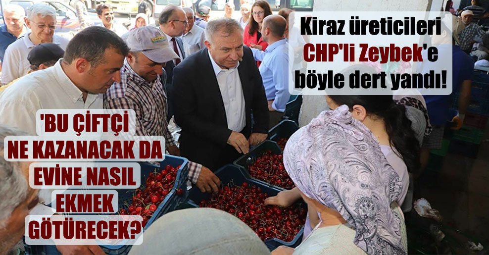 Kiraz üreticileri CHP’li Zeybek’e böyle dert yandı!