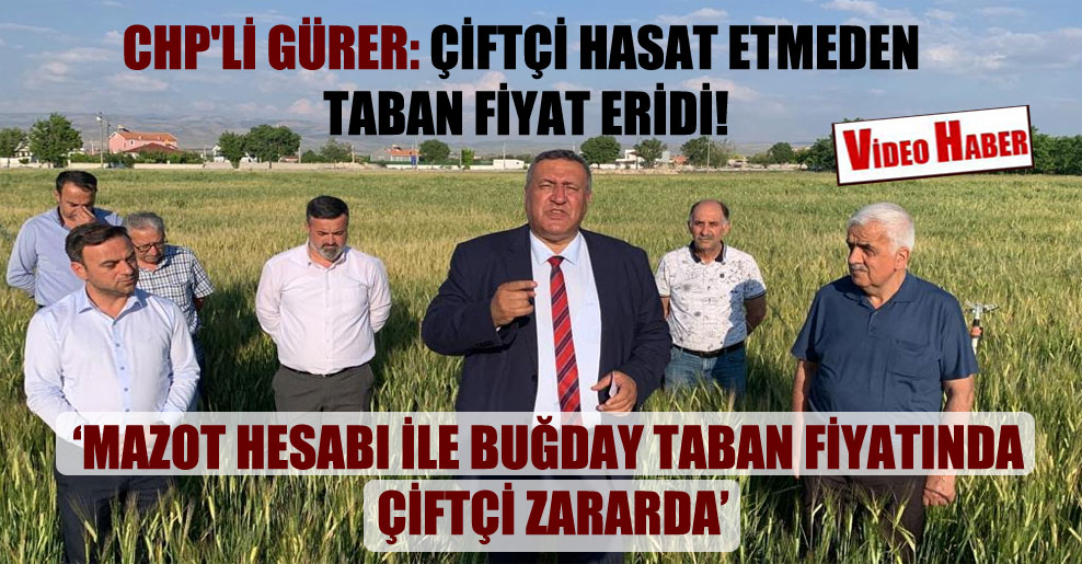 CHP’li Gürer: Çiftçi hasat etmeden taban fiyat eridi!