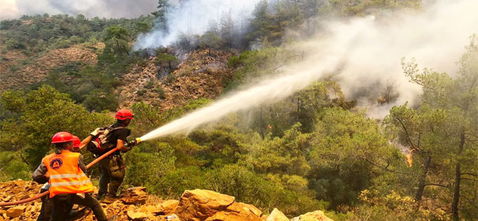 Türkiye’nin 3 ayrı bölgesinde orman yangını