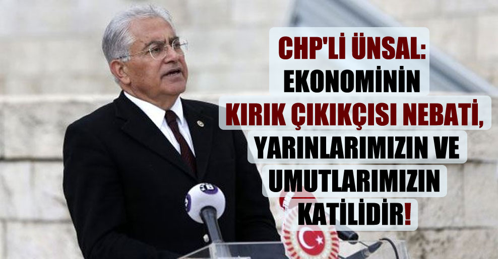 CHP’li Ünsal: Ekonominin kırık çıkıkçısı Nebati, yarınlarımızın ve umutlarımızın katilidir!
