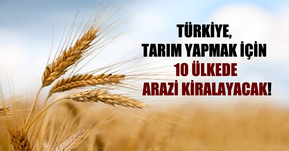 Türkiye, tarım yapmak için 10 ülkede arazi kiralayacak!
