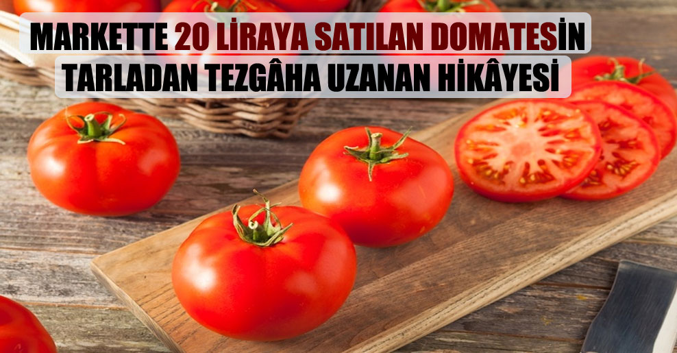 Markette 20 liraya satılan domatesin tarladan tezgâha uzanan hikâyesi