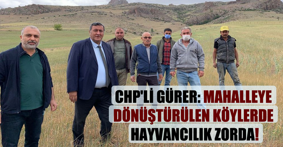 CHP’li Gürer: Mahalleye dönüştürülen köylerde hayvancılık zorda!