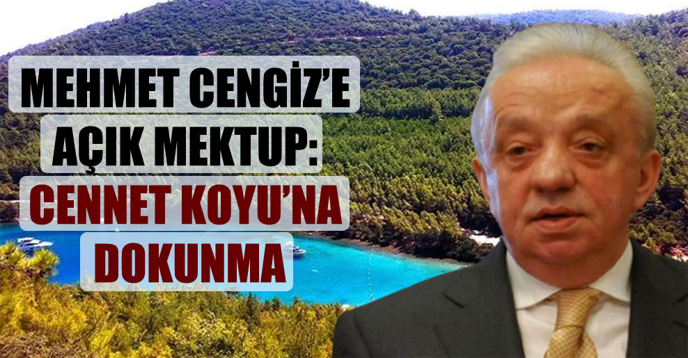 Mehmet Cengiz’e açık mektup: Cennet Koyu’na dokunma