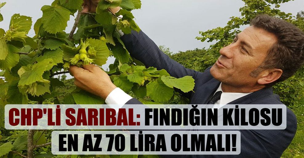 CHP’li Sarıbal: Fındığın kilosu en az 70 lira olmalı!