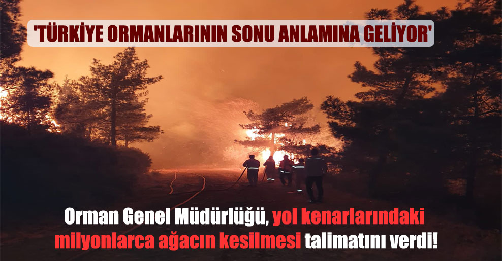 ‘Türkiye ormanlarının sonu anlamına geliyor’