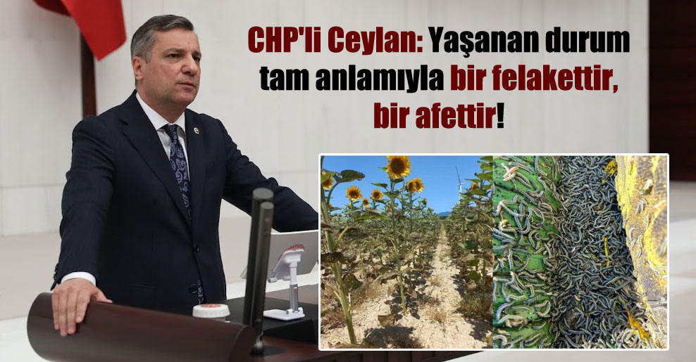 CHP’li Ceylan: Yaşanan durum tam anlamıyla bir felakettir, bir afettir!