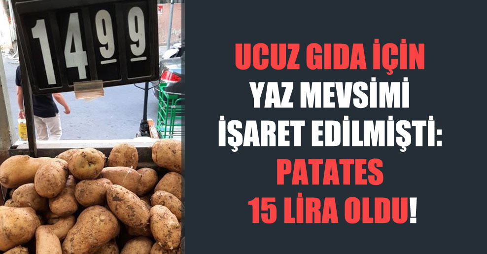 Ucuz gıda için yaz mevsimi işaret edilmişti: Patates 15 lira oldu!