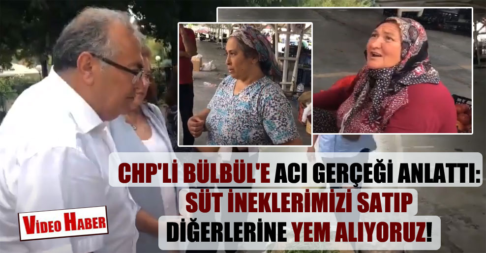CHP’li Bülbül’e acı gerçeği anlattı: Süt ineklerimizi satıp diğerlerine yem alıyoruz!