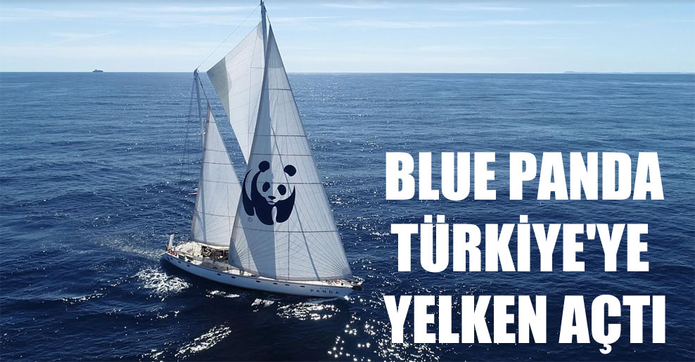 Blue Panda Türkiye’ye yelken açtı!