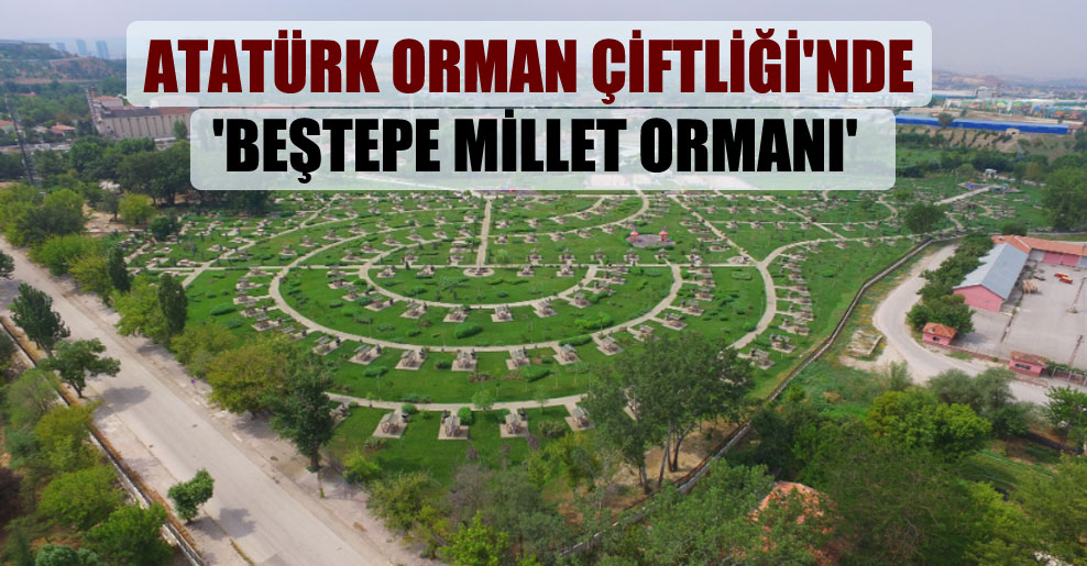 Atatürk Orman Çiftliği’nde ‘Beştepe Millet Ormanı’
